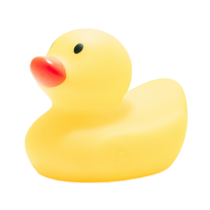 Plastic Duck